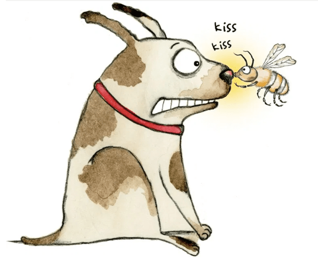 Cách ít người biết để xử lý chó bị ong đốt - gia đình pet